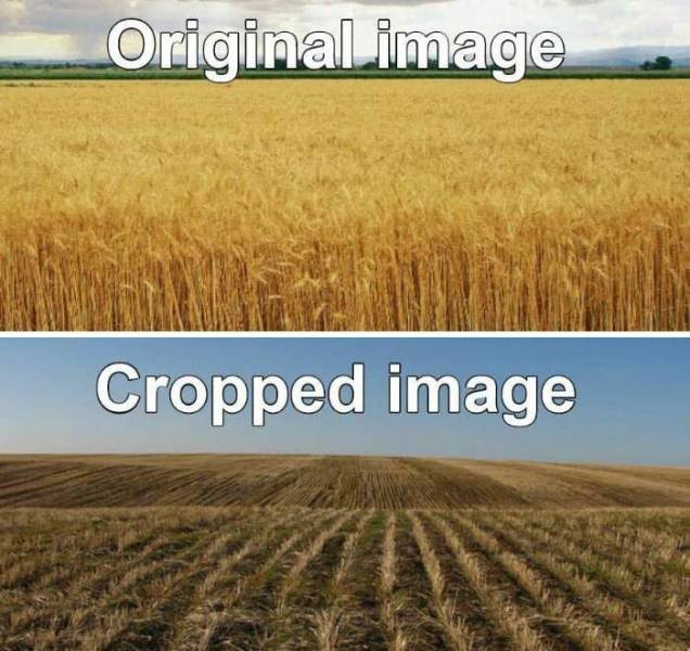 Random Memes (35 pics) Random Memes (35 pics)