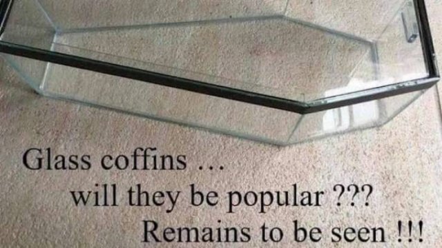 Random Memes (35 pics) Random Memes (35 pics)
