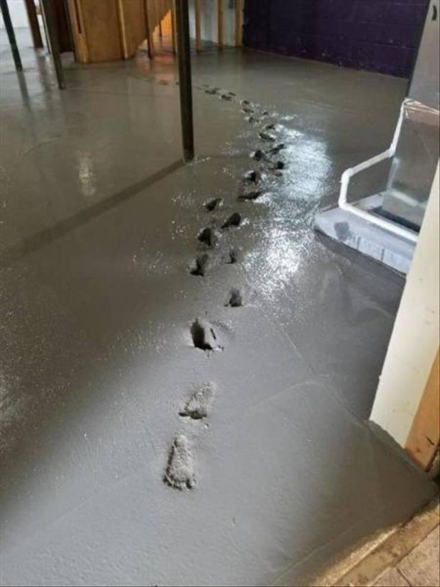 Unfortunate Situations (48 pics) Unfortunate Situations (48 pics)