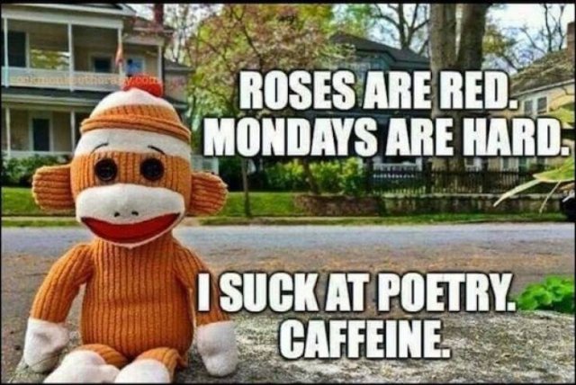 Monday Memes (19 pics)