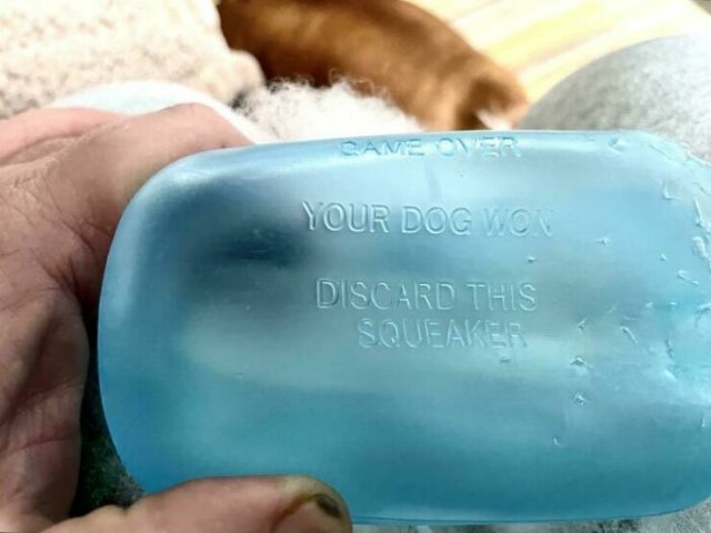 Useful Inventions For People (24 pics)
