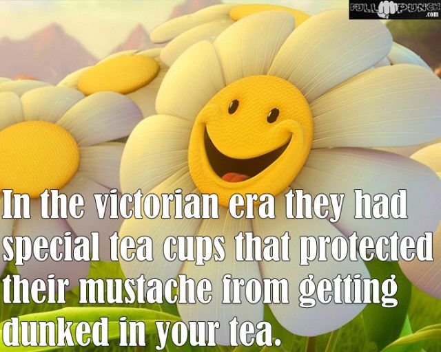 Random Knowledge (22 pics)