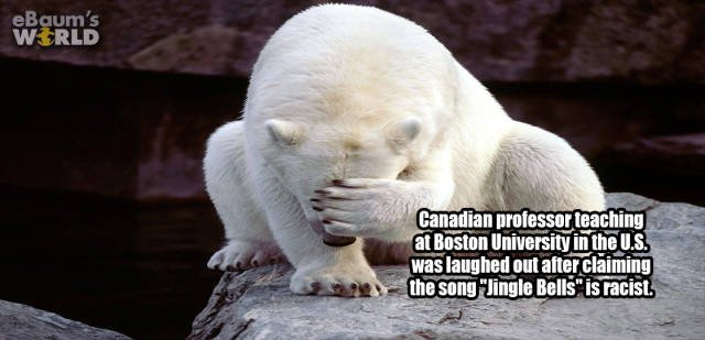 Interesting Facts (42 pics)