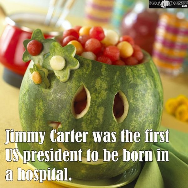 Random Knowledge (22 pics)