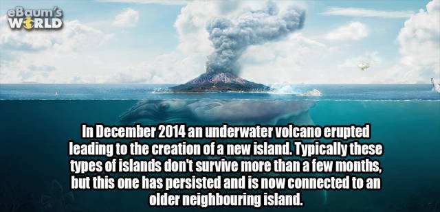 Interesting Facts (42 pics)