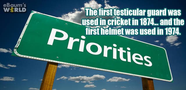 Interesting Facts (42 pics)