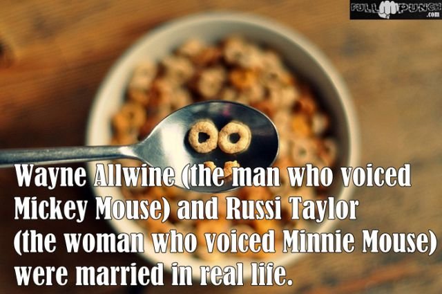 Random Knowledge (22 pics)