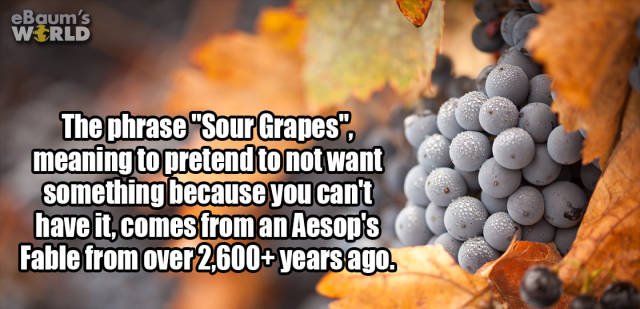 Interesting Facts (42 pics)