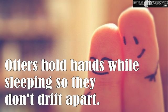 Random Knowledge (22 pics)