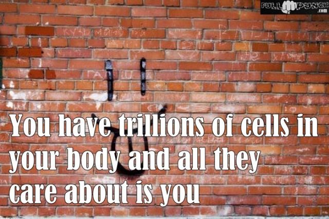 Random Knowledge (22 pics)