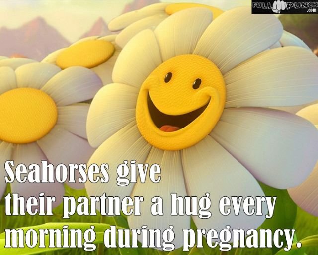 Random Knowledge (22 pics)