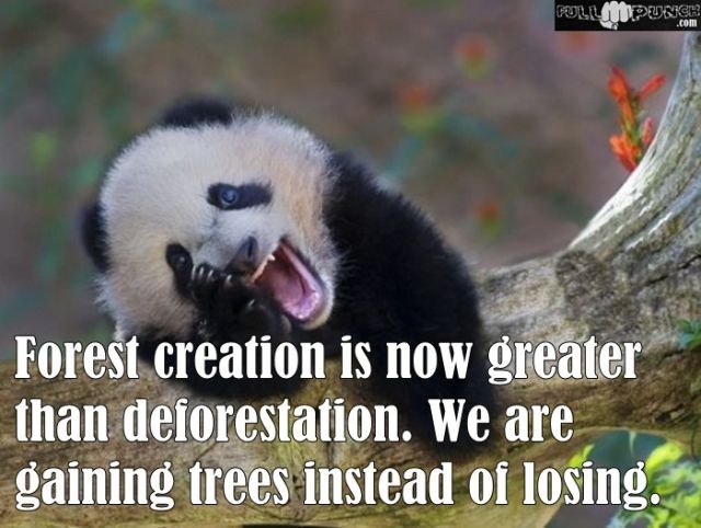 Random Knowledge (22 pics)