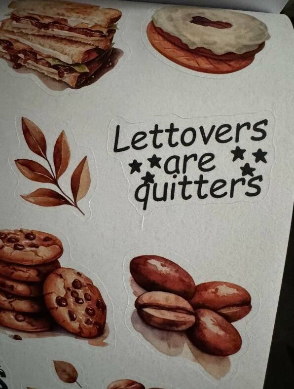 Failed Translations (16 pics)