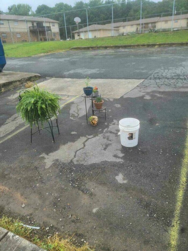 Annoying Situations (22 pics)