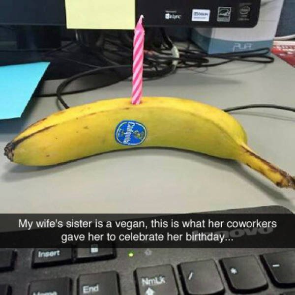 Funny Surprises (17 pics)