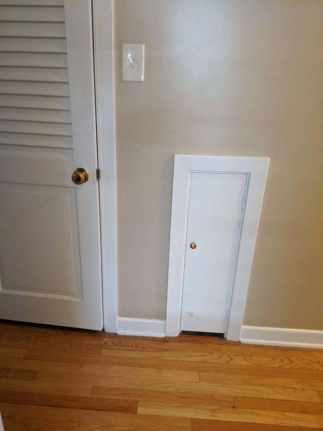 What Are These Things? (44 pics)