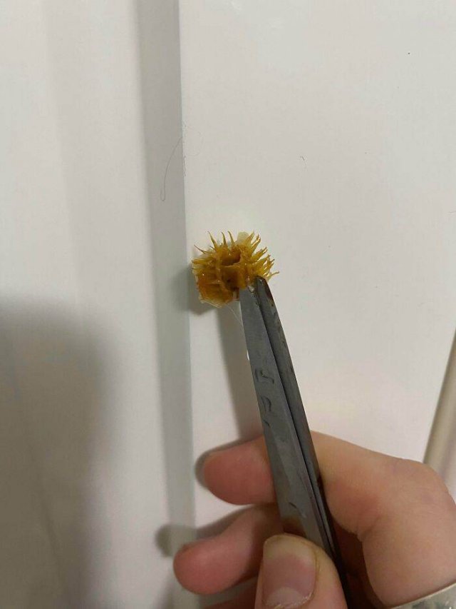 What Are These Things? (44 pics)