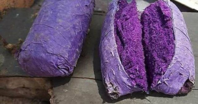 What Are These Things? (44 pics)