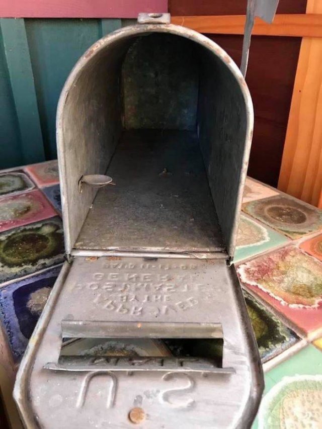 What Are These Things? (44 pics)