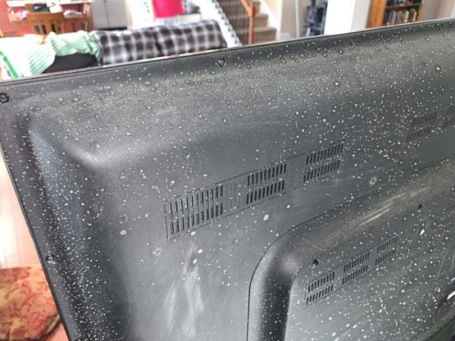 What Are These Things? (44 pics)