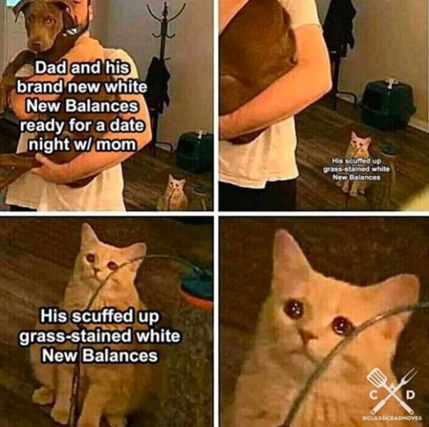 Dad's Jokes (28 pics)
