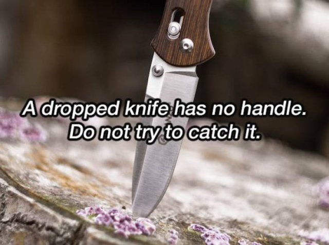 Life-Saving Tips (17 pics)