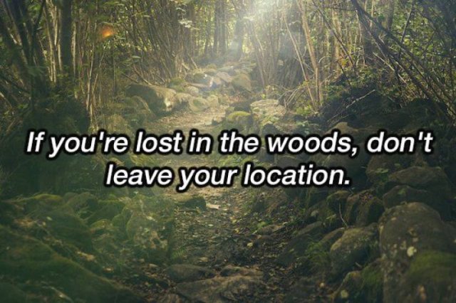 Life-Saving Tips (17 pics)