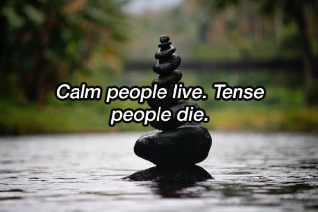 Life-Saving Tips (17 pics)