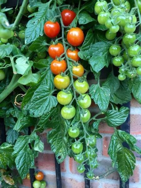 Photos For Perfectionists (58 pics) Photos For Perfectionists (58 pics)