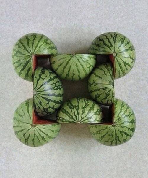 Photos For Perfectionists (58 pics) Photos For Perfectionists (58 pics)