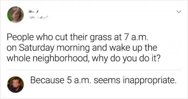 Funny Comments (15 pics)