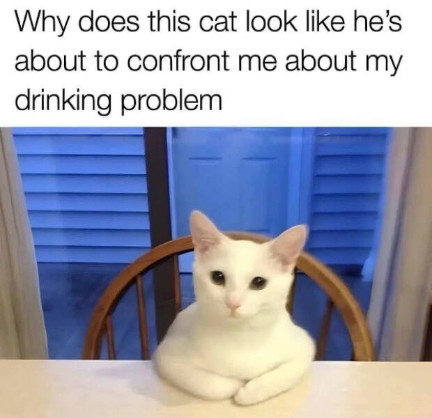 Funny Memes (24 pics)
