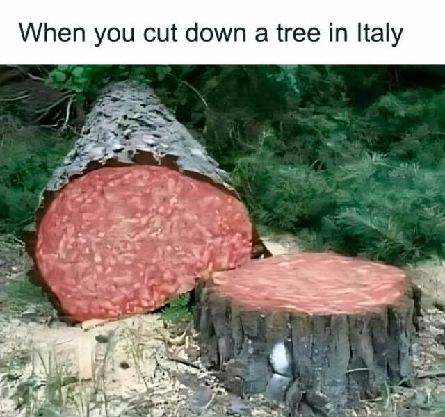 Food Memes (27 pics)