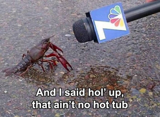Food Memes (27 pics)