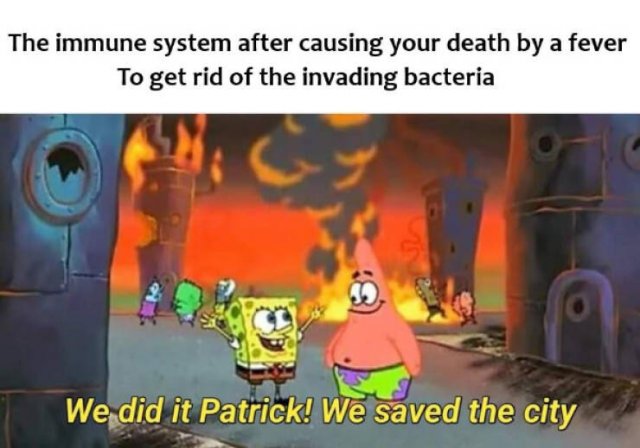 Funny Memes (24 pics)