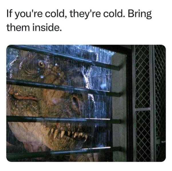 Funny Memes (24 pics)