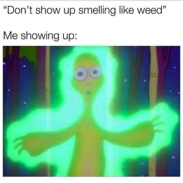Funny Memes (24 pics)