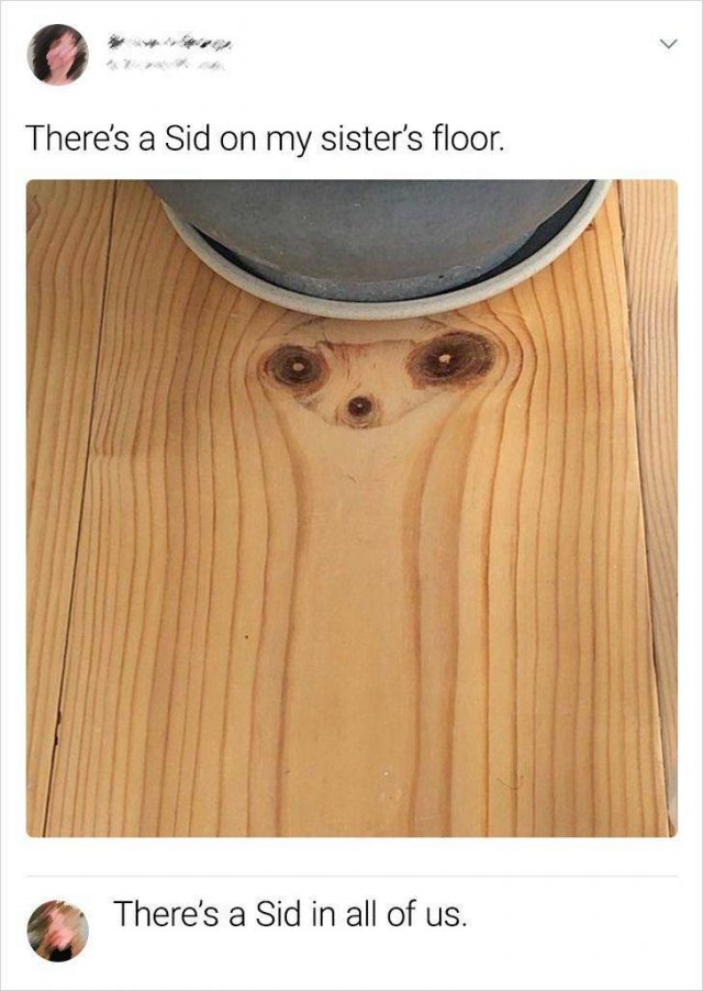Funny Comments (15 pics)