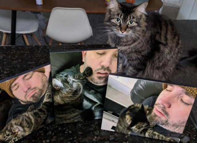 Unexpected And Odd Gifts (17 pics)