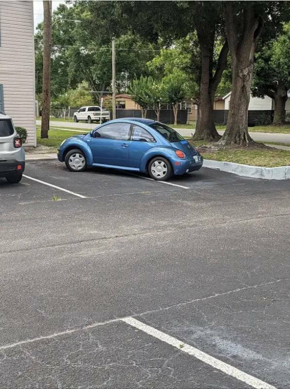 Awful Neighbors (17 pics)