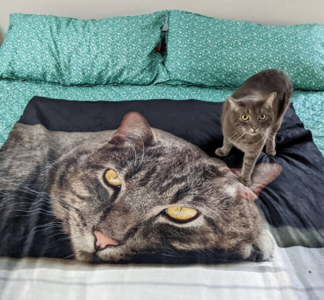 Unexpected And Odd Gifts (17 pics)