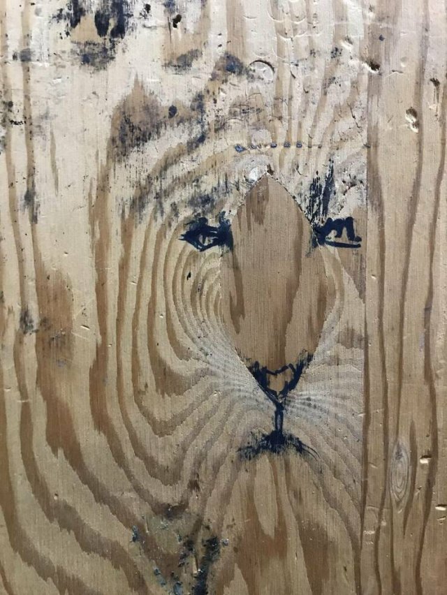 Interesting Finds (21 pics)