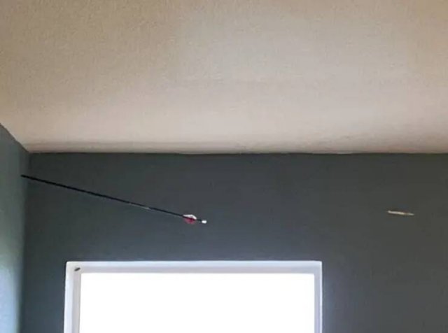 Awful Neighbors (17 pics)