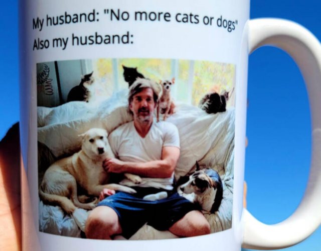 Unexpected And Odd Gifts (17 pics)
