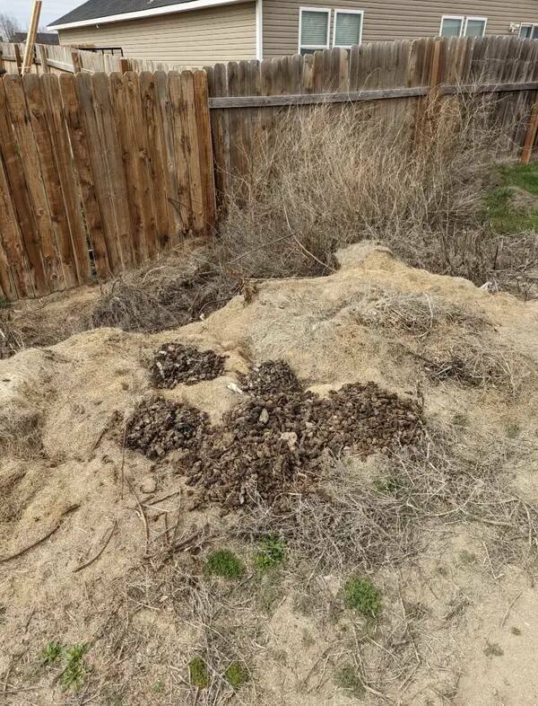 Awful Neighbors (17 pics)
