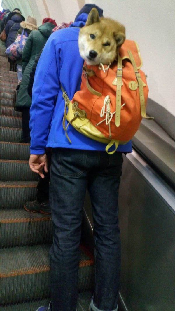 Strange People In The Subway (31 pics) Strange People In The Subway (31 pics)