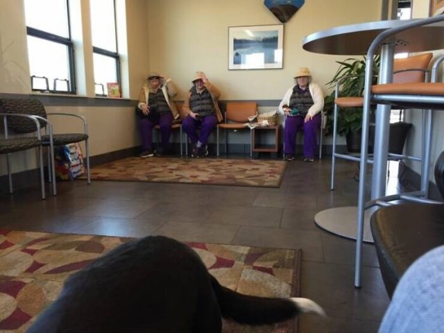 Glitches In The Matrix (24 pics)