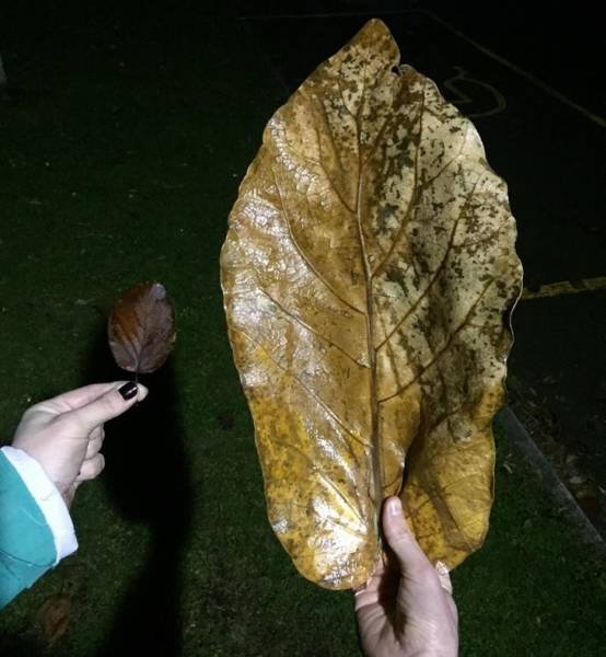 Interesting Finds (47 pics)