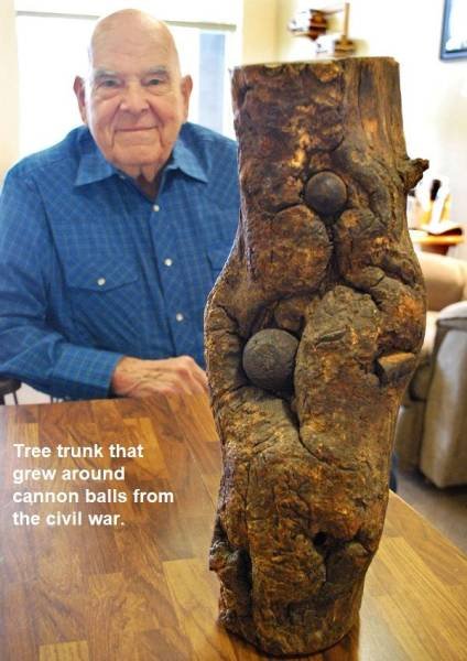 Interesting Finds (47 pics)