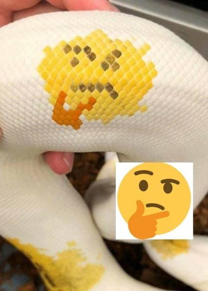 Interesting Finds (47 pics)